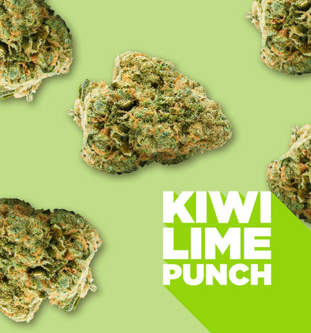 Spinach: Kiwi Lime Punch 3x0.5g Pre-Rolled (Indica)