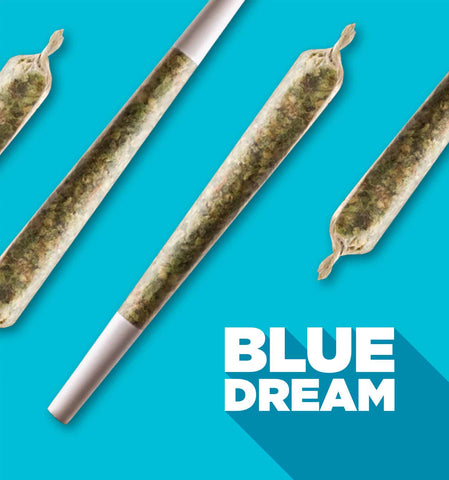 Spinach: Blue Dream Pre-Rolled 3x0.5g (Sativa)